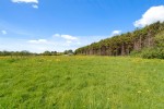 Images for Detached with 6.63 Acres & Equestrian Facilities