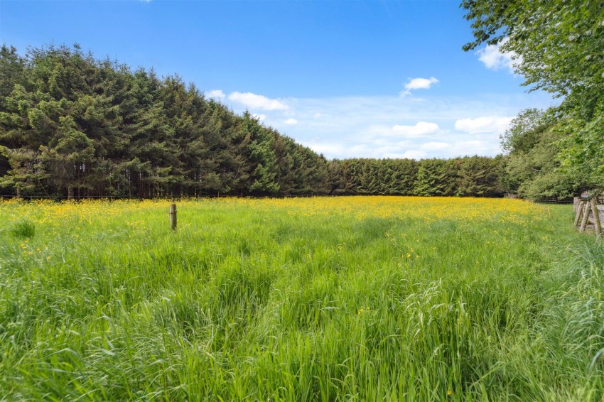 Images for Detached with 6.63 Acres & Equestrian Facilities